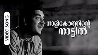 Nalikerathinte  Evergreen Malayalam Movie Song  Thurakkaatha Vaathil  FtPrem Nazir Madhu [upl. by Raskin]