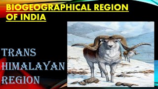 BIOGEOGRAPHICAL ZONES OF INDIA for UPSC  TRANSHIMALAYAN REGION UPSC [upl. by Galina]