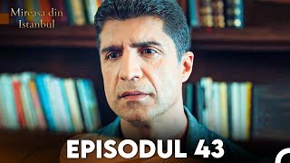 Mireasa Din Istanbul Episodul 43 [upl. by Dloniger]