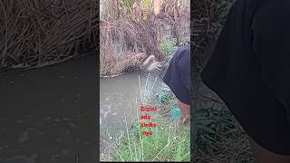 mancing garinganrengkek keting [upl. by Kelula]