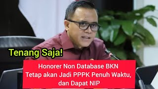 Tenang Saja Honorer Non Database BKN Tetap akan Jadi PPPK Penuh Waktu dan Dapat NIP [upl. by Eveam]