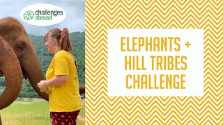 Discover Thailand on the Elephants and Hill Tribes Challenge [upl. by Chelton747]