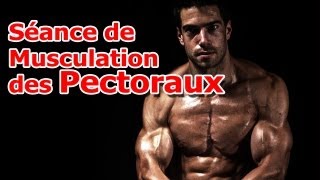 Séance de Musculation des Pectoraux [upl. by Neidhardt772]