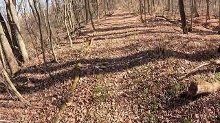 New Island Trail Fall 2024 Part 3 [upl. by Shelton]