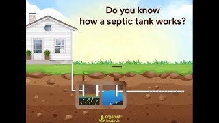 How A Septic Tank Works Septic Tank Treatment  Organica Biotech [upl. by Gleeson]