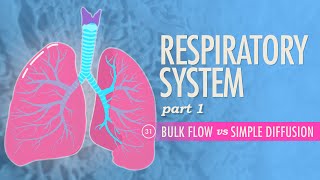 Respiratory System Part 1 Crash Course Anatomy amp Physiology 31 [upl. by Annail]