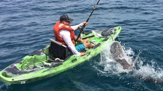 Watch shark flip over kayaker in middle of ocean [upl. by Fulks]