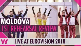 Moldova First Rehearsal DoReDos quotMy Lucky Dayquot  Eurovision 2018 Review  wiwibloggs [upl. by Norty871]