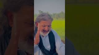 Shahzada Ali Akberas foryou video viralshorts viralvideo viralshort viralreels videos [upl. by Onilatac373]