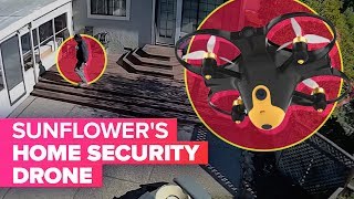 Sunflowers home security drone spots trespassers [upl. by Coleville]