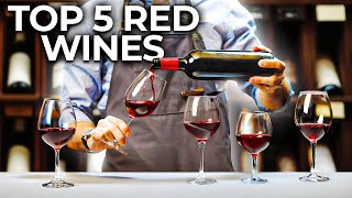 The Best Red Wines for Beginners [upl. by Gleeson276]