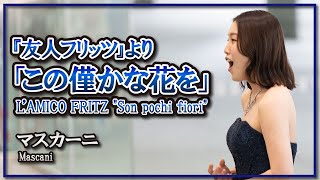 マスカーニオペラ『友人フリッツ』より「この僅かな花を」歌・ピアノ／ MascagniLAMICO FRITZ quotSon pochi fioriquot Song・Piano朝♪クラ [upl. by Tamara]