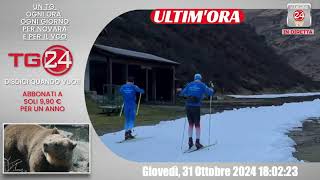 Vco Pomeriggio 24 ore 18 di giovedi 31 ottobre 2024 [upl. by Livvie]