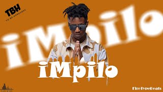 FREE Emtee x Emotional Type Beat  iMpilo [upl. by Pazit]