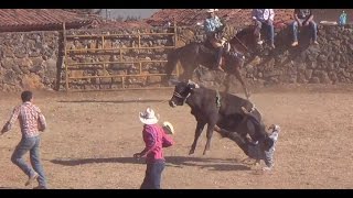 JARIPEO DE TOROS BRAVOS A CAPA LAZO Y JINETE  CHARREADA EN OPONGUIO 2017 [upl. by Anaid999]