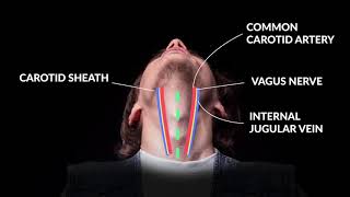 How to Perform An Emergent Cricothyrotomy Emergency Medicine  Your Design Medical [upl. by Corrie30]