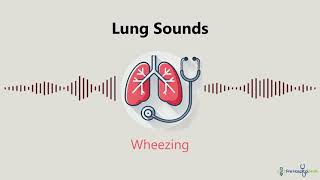 Lung Sounds Wheezing [upl. by Hazem]