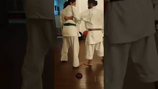 Goshin Jutsu selfdefense martialarts women [upl. by Adnawuj]