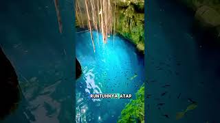 quotCenote Oasis Tersembunyi di Jantung Yucatanquotshorts cenote meksiko [upl. by Dlorrej]