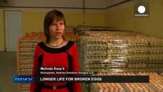 Shellbrane Project Transforming eggshell Innovation for the Food Industry [upl. by Annaicul]