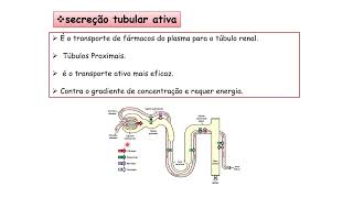 Farmacocinética EliminaçãoDepuração renal de fármacos [upl. by Prem311]