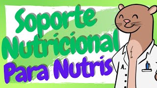 ¿Qué es el Soporte Nutricional  Nutrición Enteral y Parenteral [upl. by Aicirtel944]