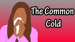 Common Cold  What Is A Cold  What Is A Virus  Viral Infection [upl. by Mehalek517]