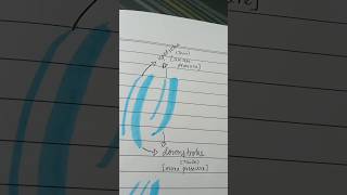 Ep 3 Upstroke vs Downstroke How to calligraph affordable calligraphy using highlighter [upl. by Fadil]