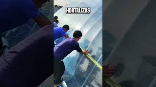 Después de todo ¿por qué los chinos están prendiendo fuego al oleoducto😮 shortsvideo [upl. by Datha137]