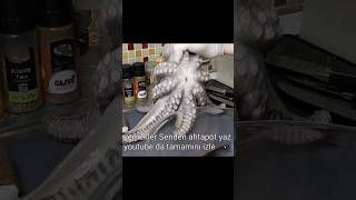 Bu 3 meze dükkan açtırır yemek mezetarifi eat Ahtapot Mezeleri [upl. by Rorie270]