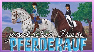 Wir KAUFEN den jorvikschen FRIESEN 🐴🖤 Remake ✅ Star Stable Pferdekauf SSO [upl. by Aihtennek]