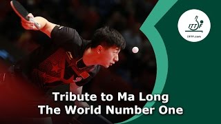 Tribute to Ma Long  The World Number 1 [upl. by Corwun]