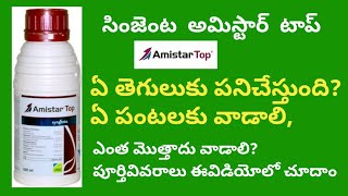 amistar top syngenta fungicide full details in telugu  BB agriculture telugu [upl. by Britt306]