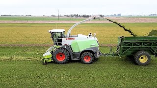 CLAAS vs John Deere Chopper [upl. by Ag]