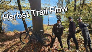 Unterwegs mit den Jungs im Herbst Wald emtb mtb mountainbiking mountainbike autumn steil dji [upl. by Parhe]