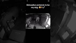 Skinwalker Pretends to be Dog [upl. by Sydel904]