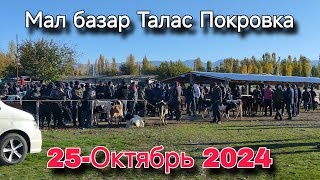 Мал базар Талас Покровка 25Октябрь 2024 [upl. by Ayikur]