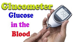 Glucometer Dr Morepen BG03 Gluco One Unboxing amp Review [upl. by Lap140]