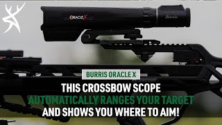 Review Burris Oracle X Rangefinding Crossbow Scope [upl. by Batish33]