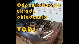 odpowietrzanie układu chłodzenia VCDS [upl. by Aisital236]