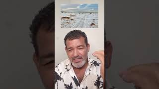 Neve no Deserto Árabe viralvideo trending trendingvideo trendingviral viraliza deserto [upl. by Sido]