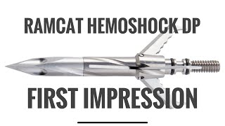 Ramcat Hemoshock First Impression [upl. by Ajax]