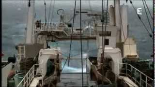 Reportage Thalassa  France 3  MOLECULE quotTempête de sonsquot [upl. by Elinet]