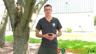 How to Get a Job as an Arborist  TreeStuffcom [upl. by Lemrej]