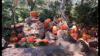 DESCANSO GARDENS JACK O LANTERNS [upl. by Adnalor]