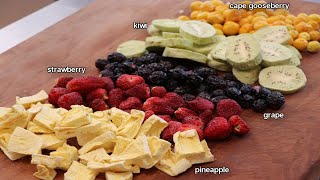 Freeze Dried Fruit Experiment  Part 1 [upl. by Aeret847]