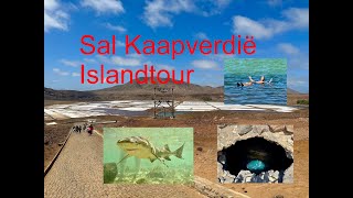 Things to do Sal cape Verd Sal Kaap Verdië Islandtour Sharkbay Salinas Blue Eye amp Natural poo [upl. by Etteb]