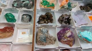 Tampa Gem and mineral show November 2024 [upl. by Pennebaker]