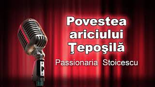 Povestea ariciului Teposila Passionaria Stoicescu [upl. by Linnet]