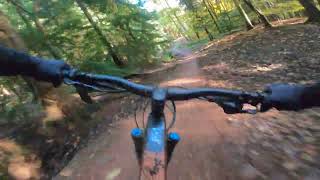 Forest of Dean Verderers FULL DESCENT RUN [upl. by Rider]